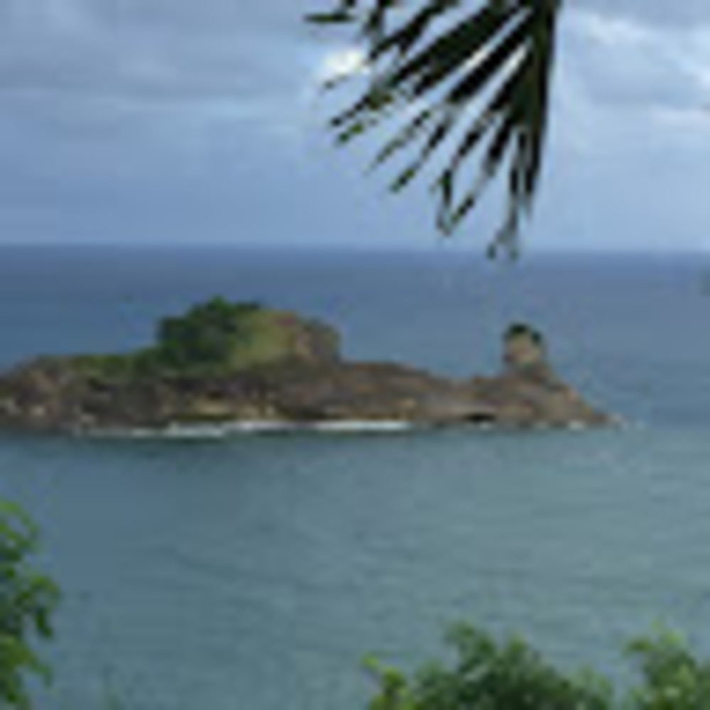 Meet your Posher, Isabel